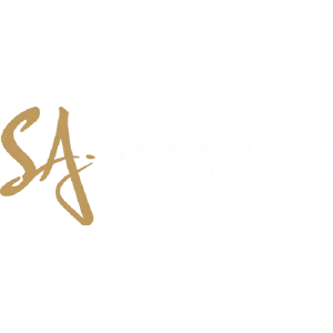 sa gaming by บาคาร่า dg
